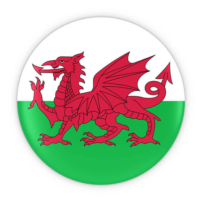 Welsh flag button