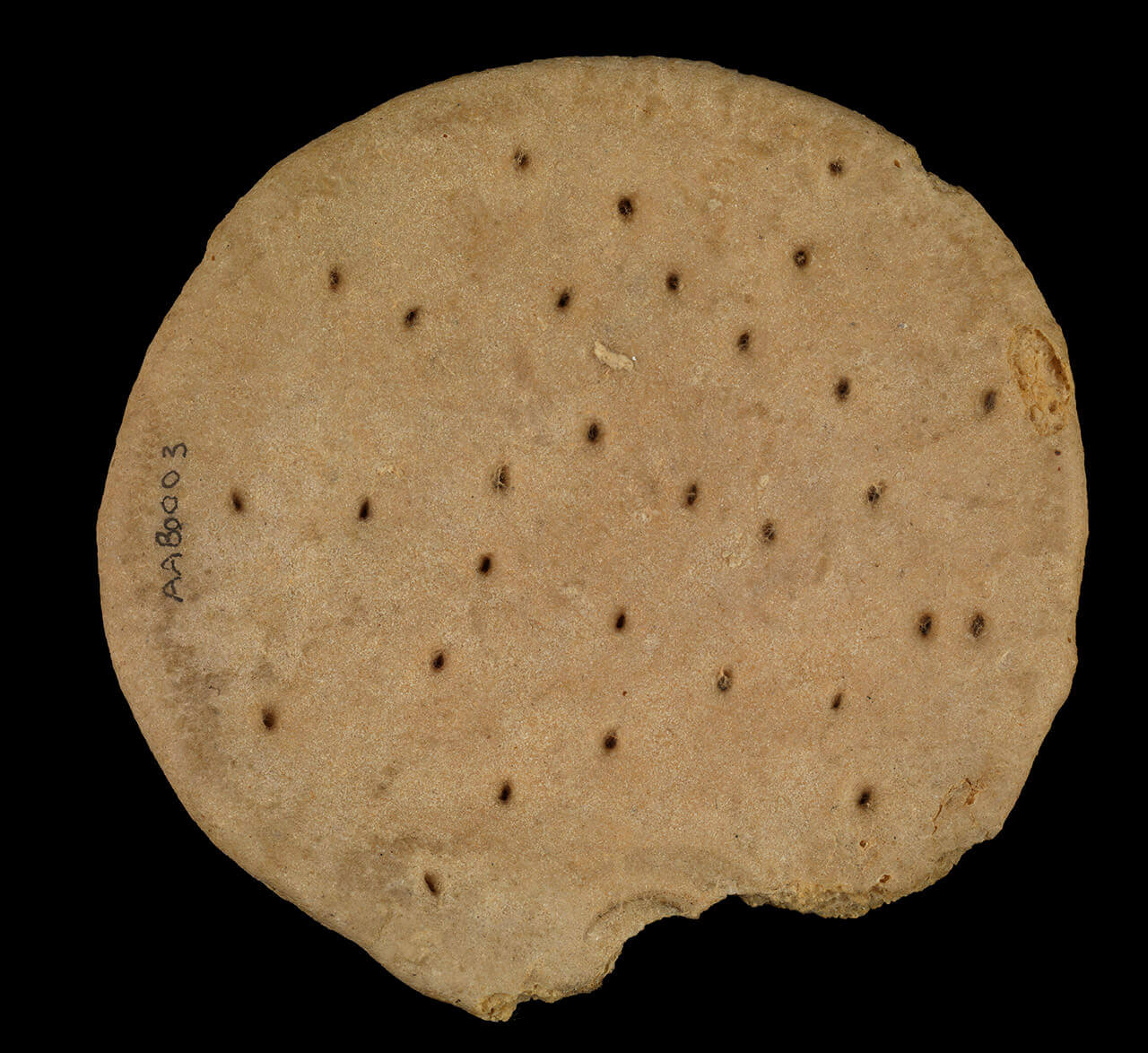 Ships Biscuit © National Maritime Museum, Greenwich, London.jpg