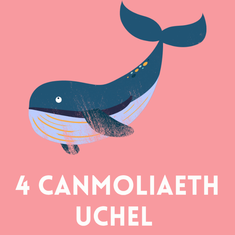 4 Canmoliaeth uchel