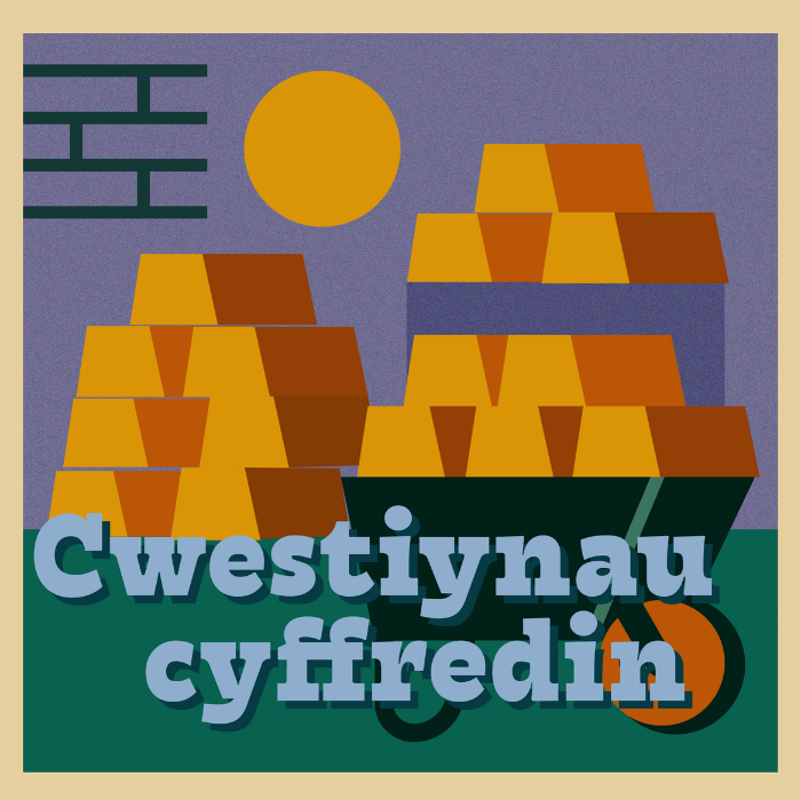 Cwestiynau Cyffredin