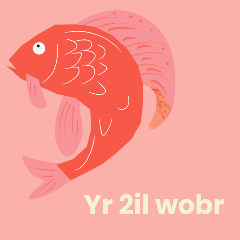 Yr 2il wobr