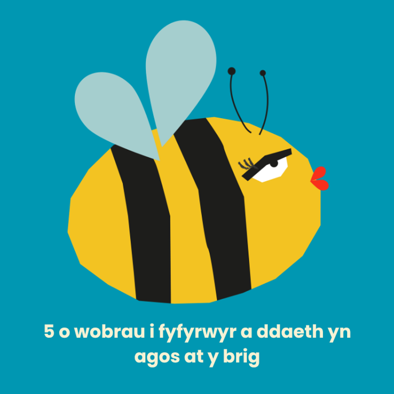 5 o wobrau i fyfyrwyr a ddaeth yn agos at y brig