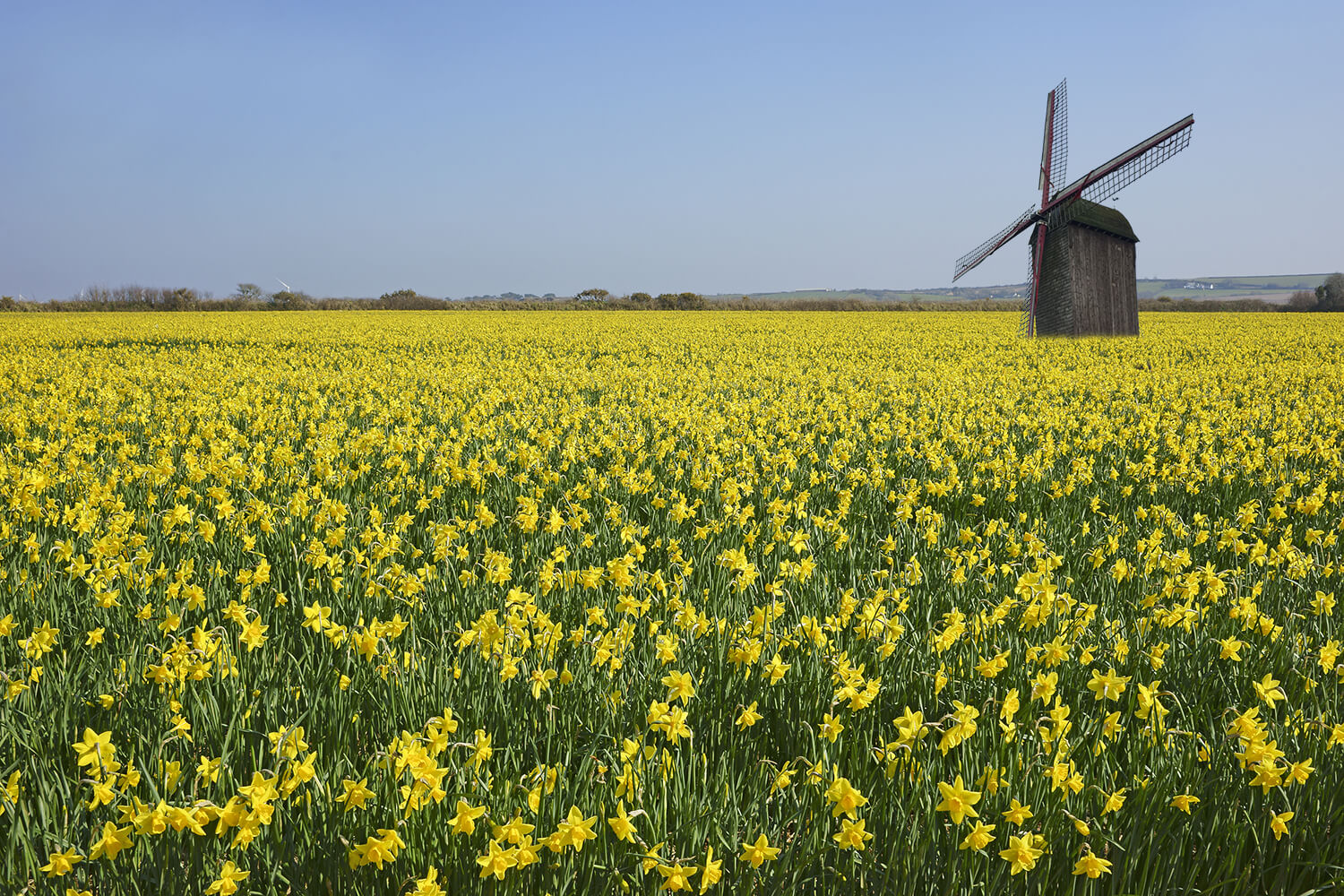 A windmill in a field