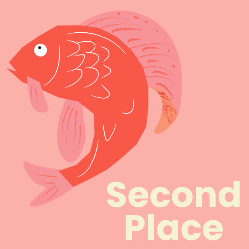 Second Place - The Last Dodo's Dream