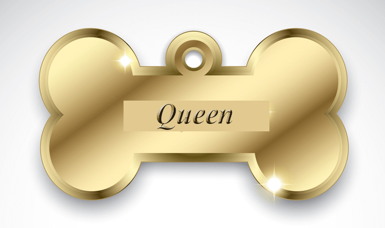 The Queen's gift collar.png
