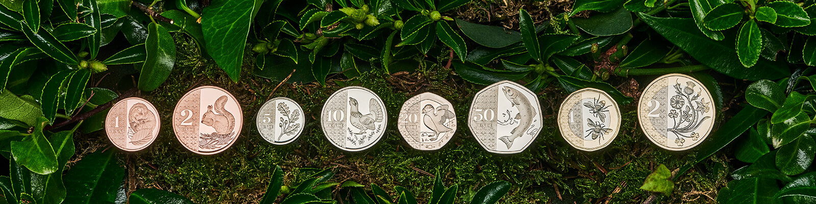 A picture of the coins of Charles III showing the reverse sides which feature a variety of animals associated with the British countryside