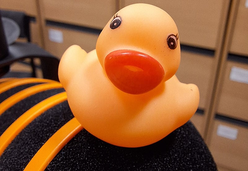 Close up of an orange rubber duck balanced on top of a microphone